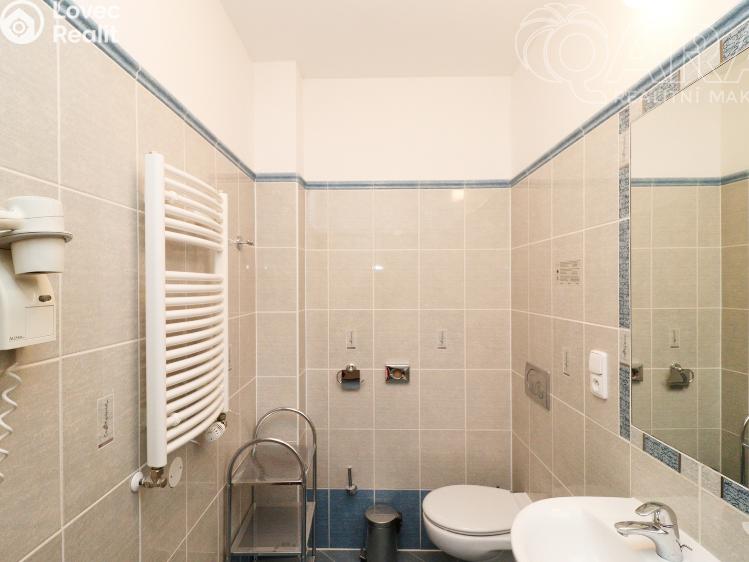 Оренда квартири 1+KK Praha, Balbínova 496/8 č. 8