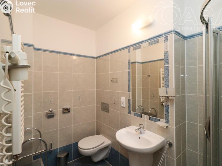 Pronájem bytu 1+KK Praha, Balbínova 496/8 č. 9