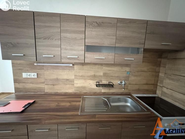 Pronájem bytu 2+1 Chomutov, Dřínovská č. 1