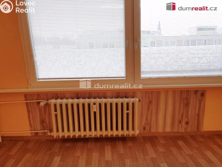 Pronájem bytu 1+1 Děčín, Plavební č. 8