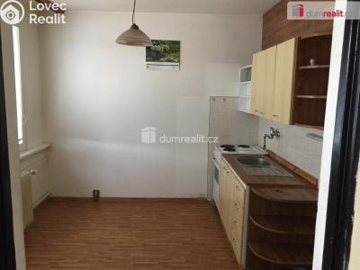 Pronájem bytu 1+1 Děčín, Plavební č. 2