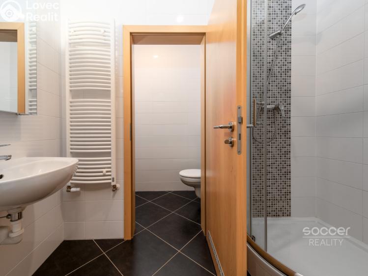 Sale apartment 1+KK Praha, Míšovická č. 7