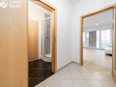 Продажа квартиры 1+KK Praha, Míšovická č. 6