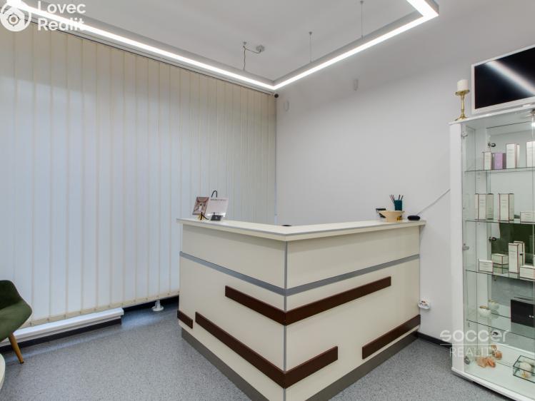 Rent doctor's office Praha, Pod radnicí č. 5