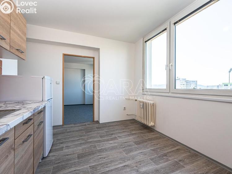 Pronájem bytu 1+1 Mladá Boleslav, Jana Palacha 1087 č. 1