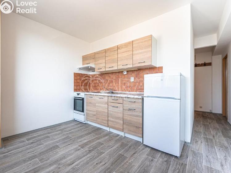 Pronájem bytu 1+1 Mladá Boleslav, Jana Palacha 1087 č. 2