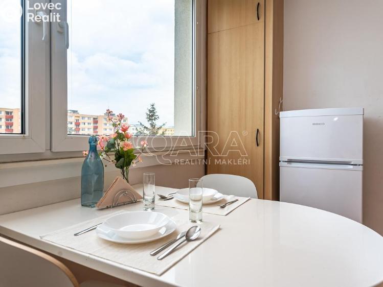 Pronájem bytu 1+1 Mladá Boleslav, Jana Palacha 1087 č. 4