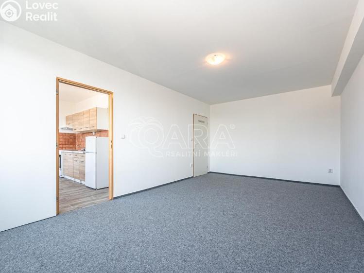 Pronájem bytu 1+1 Mladá Boleslav, Jana Palacha 1087 č. 5