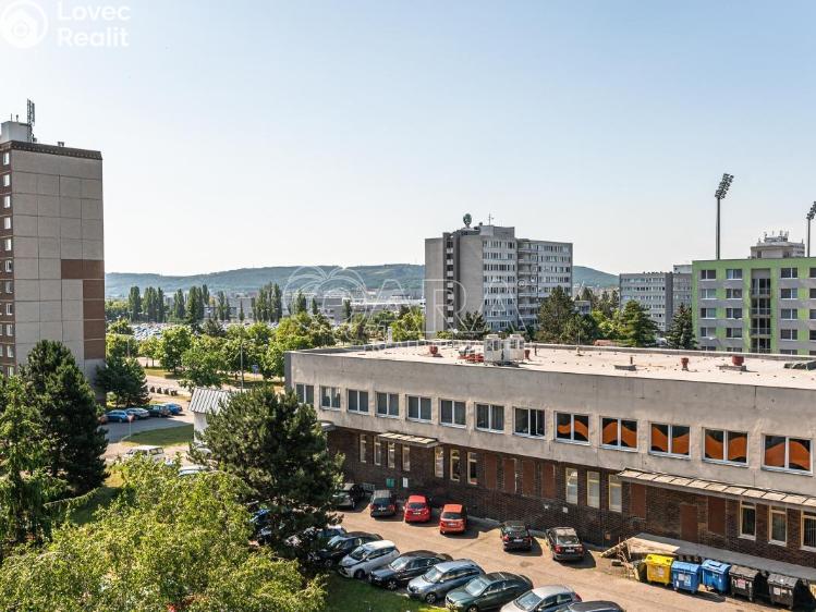 Pronájem bytu 1+1 Mladá Boleslav, Jana Palacha 1087 č. 15