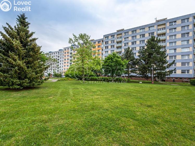 Pronájem bytu 1+1 Mladá Boleslav, Jana Palacha 1087 č. 19