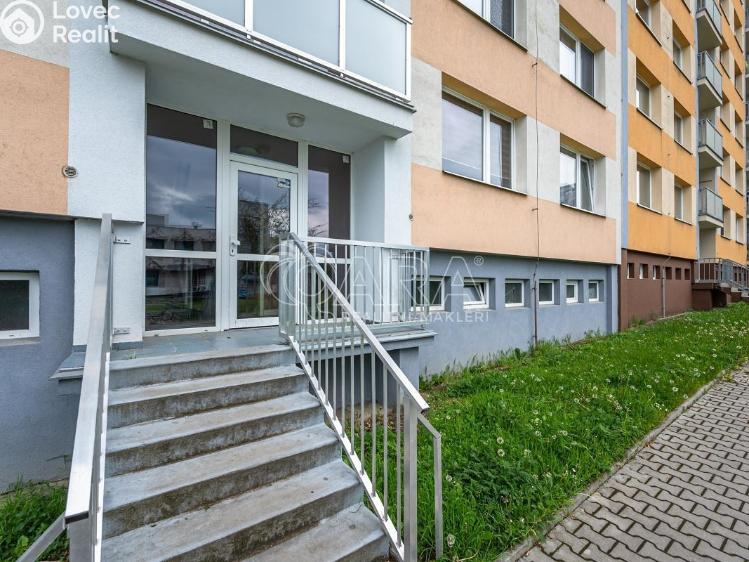 Pronájem bytu 1+1 Mladá Boleslav, Jana Palacha 1087 č. 20