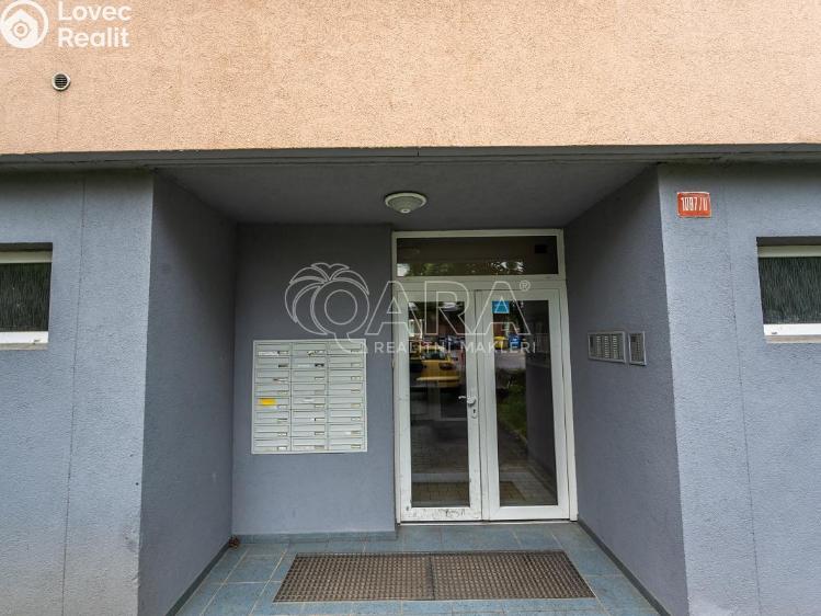 Pronájem bytu 1+1 Mladá Boleslav, Jana Palacha 1087 č. 21