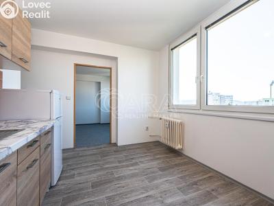 Pronájem bytu 1+1 Mladá Boleslav, Jana Palacha 1087 č. 1