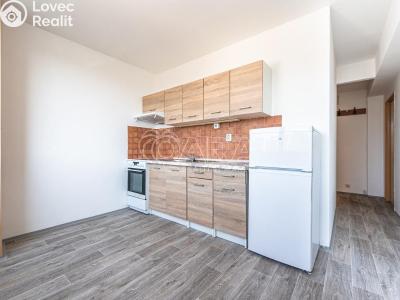 Pronájem bytu 1+1 Mladá Boleslav, Jana Palacha 1087 č. 2