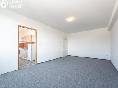 Pronájem bytu 1+1 Mladá Boleslav, Jana Palacha 1087 č. 5