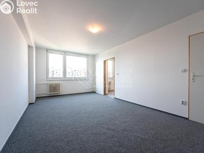 Pronájem bytu 1+1 Mladá Boleslav, Jana Palacha 1087 č. 6