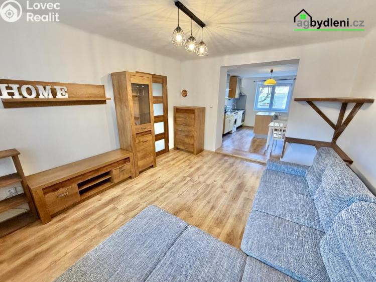 Pronájem bytu 2+1 Plzeň č. 8