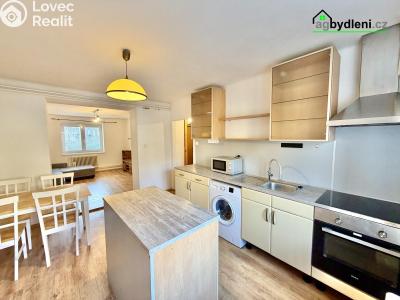 Pronájem bytu 2+1 Plzeň č. 2