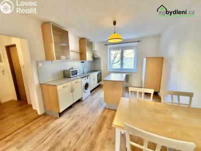 Pronájem bytu 2+1 Plzeň č. 3