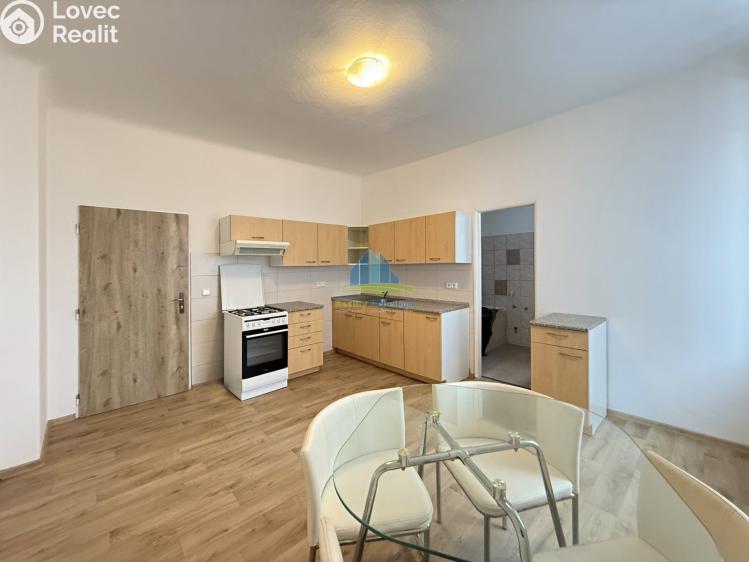 Pronájem bytu 2+1 Františkovy Lázně, Americká 74/68 č. 1