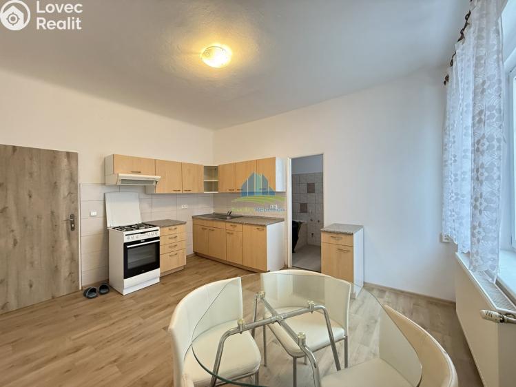 Pronájem bytu 2+1 Františkovy Lázně, Americká 74/68 č. 5