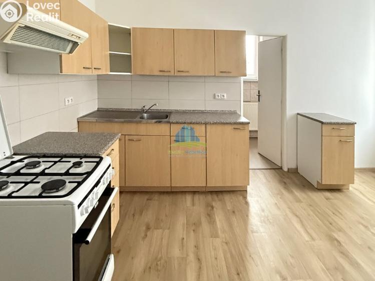 Pronájem bytu 2+1 Františkovy Lázně, Americká 74/68 č. 9