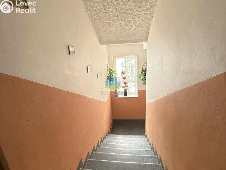 Pronájem bytu 2+1 Františkovy Lázně, Americká 74/68 č. 11