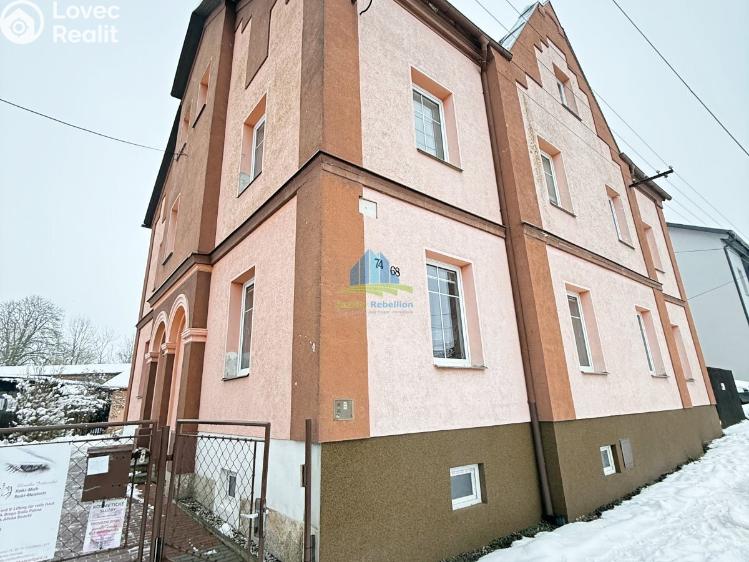 Pronájem bytu 2+1 Františkovy Lázně, Americká 74/68 č. 12