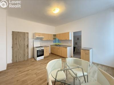 Pronájem bytu 2+1 Františkovy Lázně, Americká č. 1