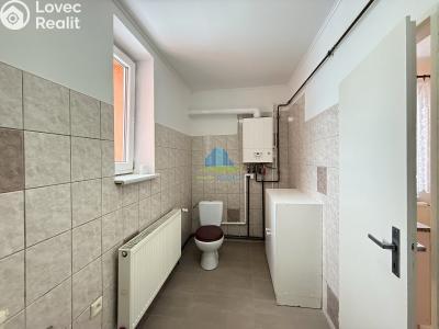 Pronájem bytu 2+1 Františkovy Lázně, Americká č. 4