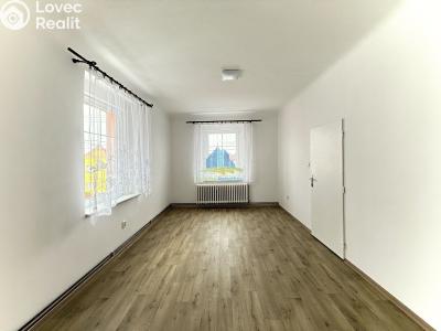 Pronájem bytu 2+1 Františkovy Lázně, Americká č. 6