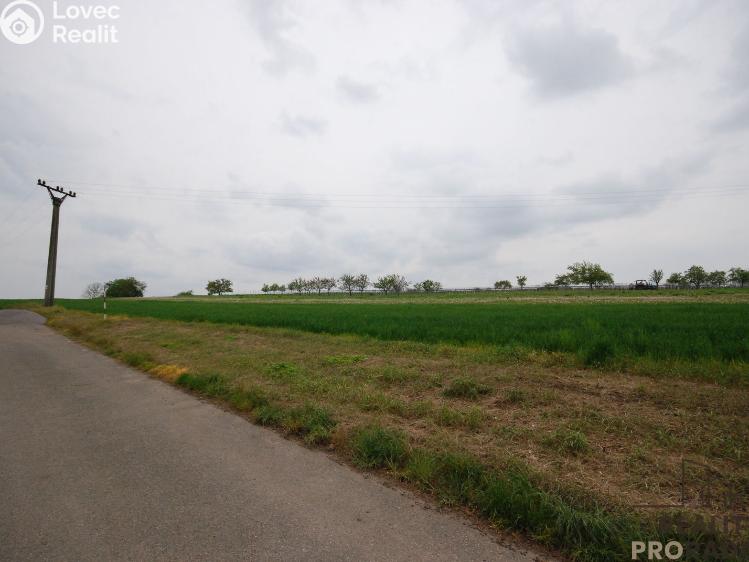 Prodej bytu 3+1 Drnholec, Hrušovanská č. 16