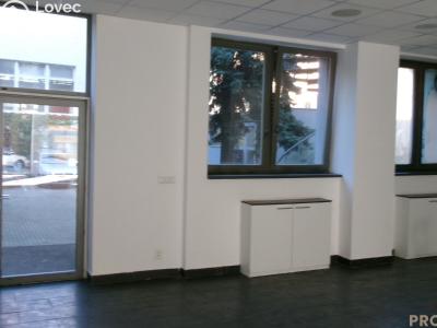 Pronájem restaurace Brno č. 3