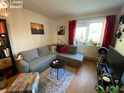 Pronájem bytu 1+KK Bystřice pod Hostýnem č. 1