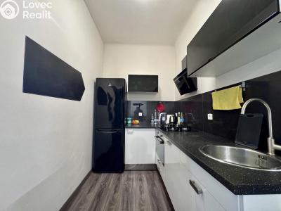 Rent apartment 2+1 Praha, Doudlebská č. 1