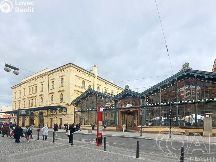 Rent apartment 2+1 Praha, Hybernská č. 14