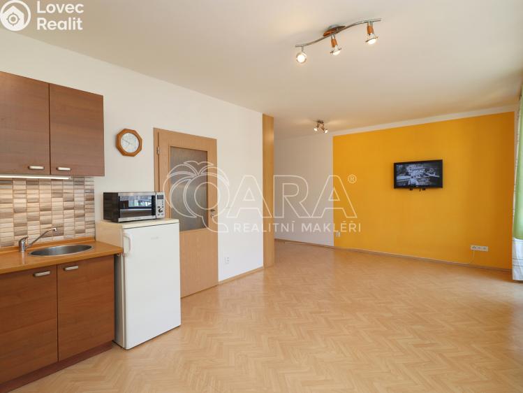 Pronájem bytu 1+KK Praha 7 č. 1