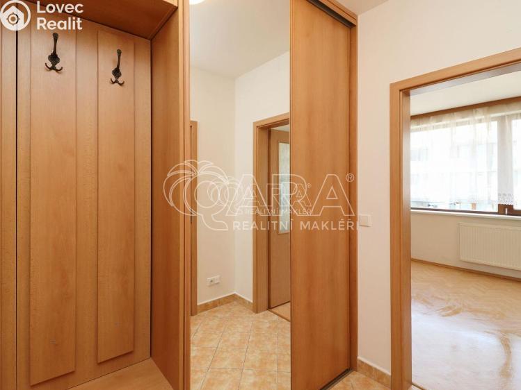 Pronájem bytu 1+KK Praha 7 č. 9