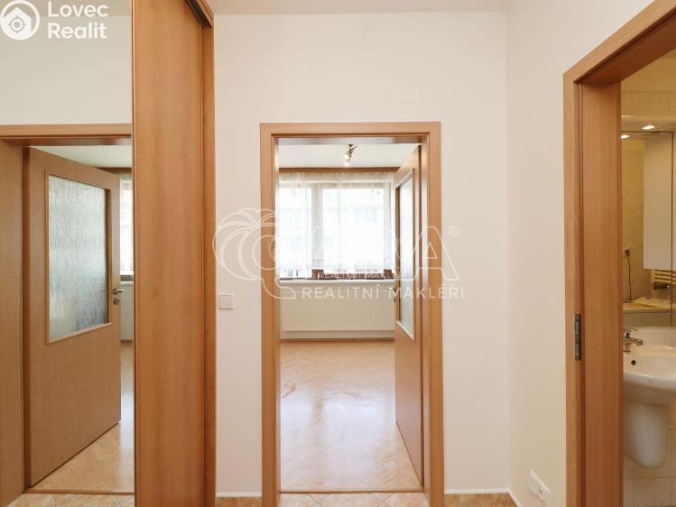 Pronájem bytu 1+KK Praha 7 č. 11