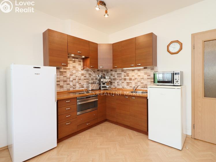 Pronájem bytu 1+KK Praha 7 č. 12