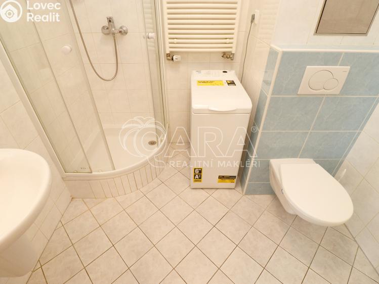 Pronájem bytu 1+KK Praha 7 č. 13