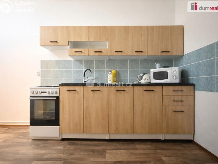 Rent apartment 1+1 Trmice, Fügnerova 111/6 č. 1