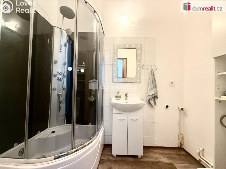 Rent apartment 1+1 Trmice, Fügnerova 111/6 č. 4