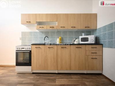 Rent apartment 1+1 Trmice, Fügnerova č. 1