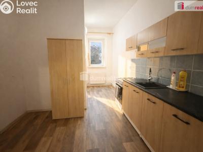 Rent apartment 1+1 Trmice, Fügnerova č. 2