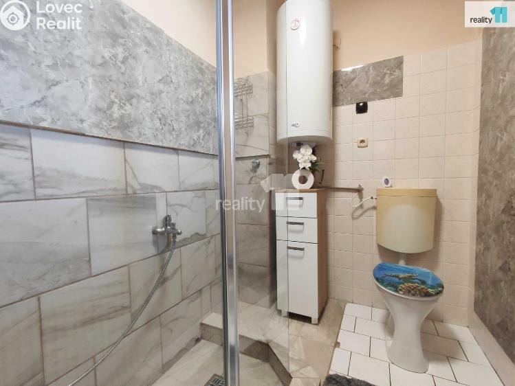 Sale apartment 5+1 Chlumec nad Cidlinou č. 29