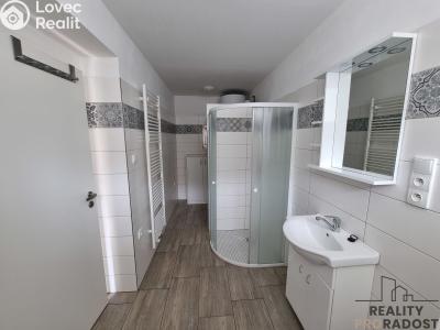 Оренда сімейного будинку Dolní Dubňany č. 4