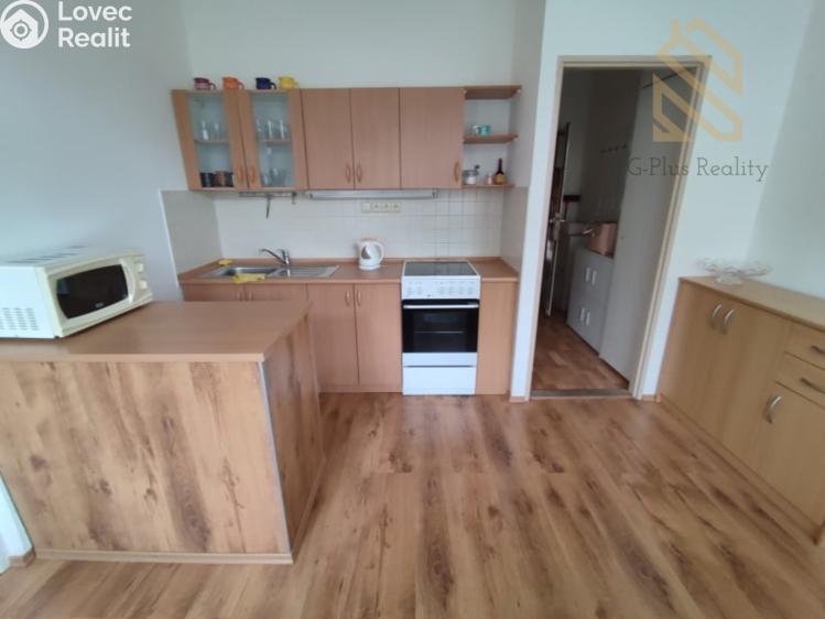 Pronájem bytu 1+1 Louny, Slovenského národního povstání 2086 č. 4