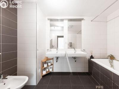 Rent apartment 4+KK Praha, Švédská č. 4