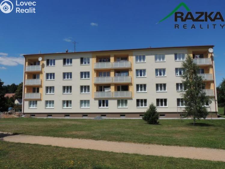 Pronájem bytu 2+1 Konstantinovy Lázně, Školní č. 1